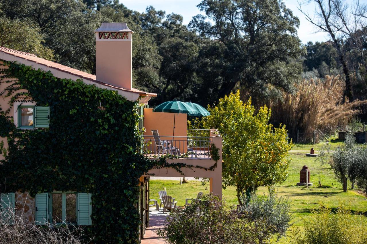 Vale De Ferreiros Guest House Абрантес Екстериор снимка