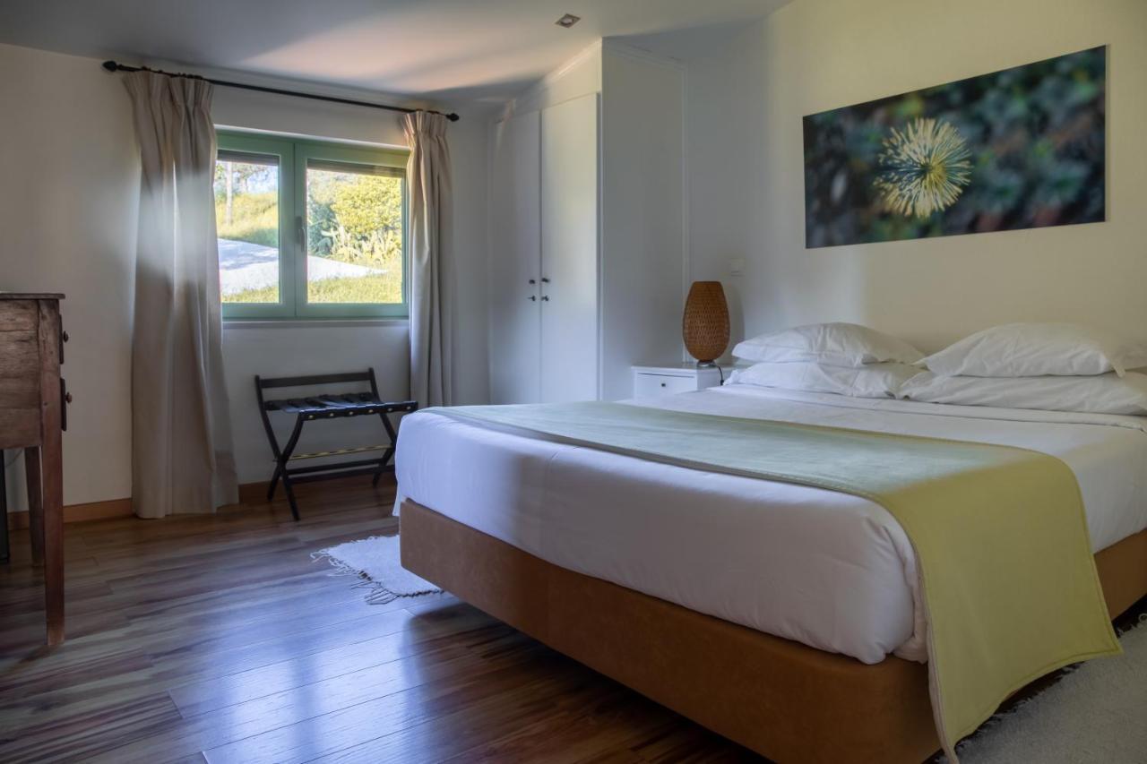 Vale De Ferreiros Guest House Абрантес Екстериор снимка