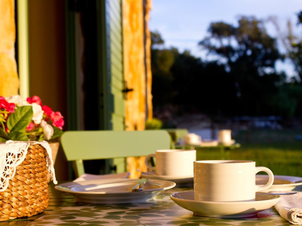 Vale De Ferreiros Guest House Абрантес Екстериор снимка